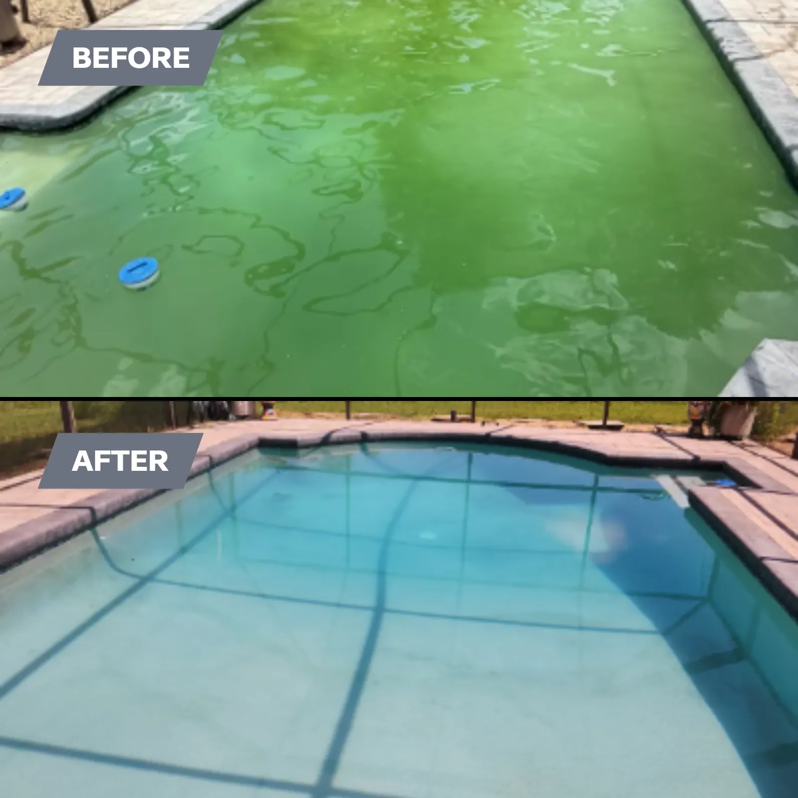 Green pool before and clear pool after a green-to-clean recovery in Brooksville