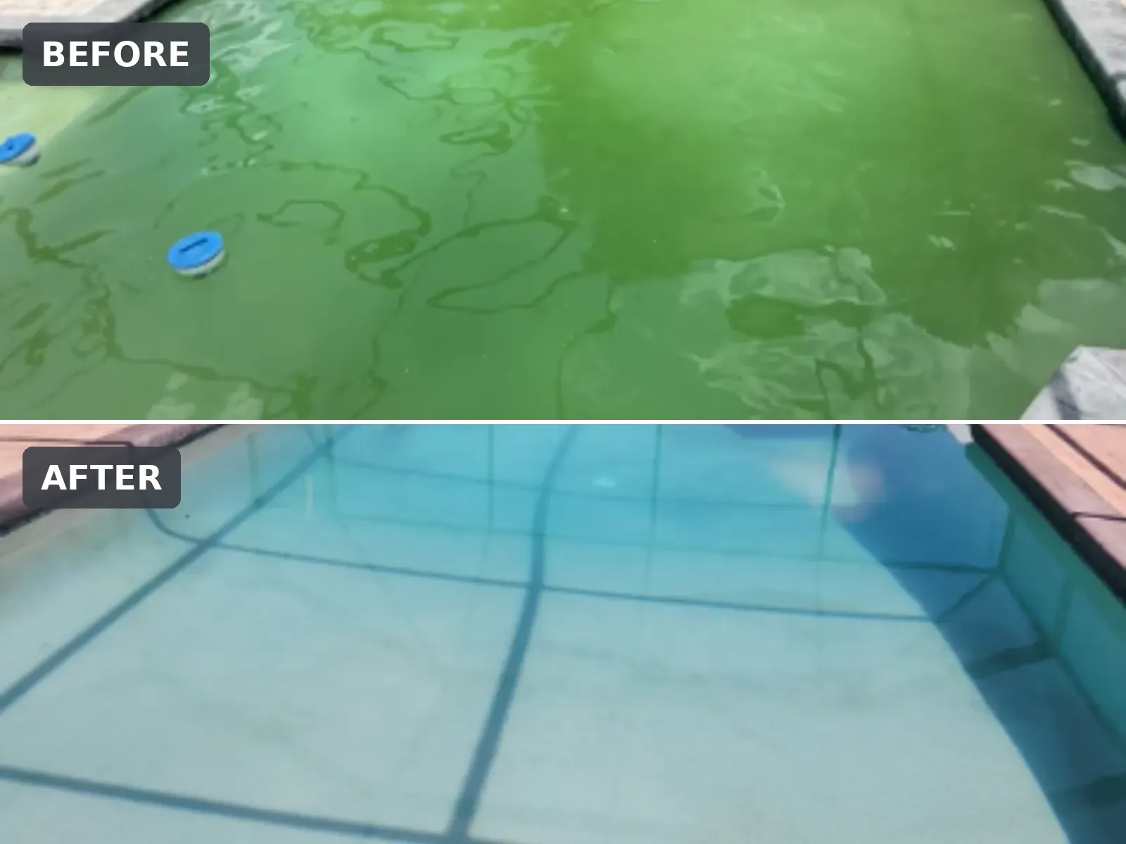 Green pool before and clear pool after a green-to-clean recovery in Brooksville